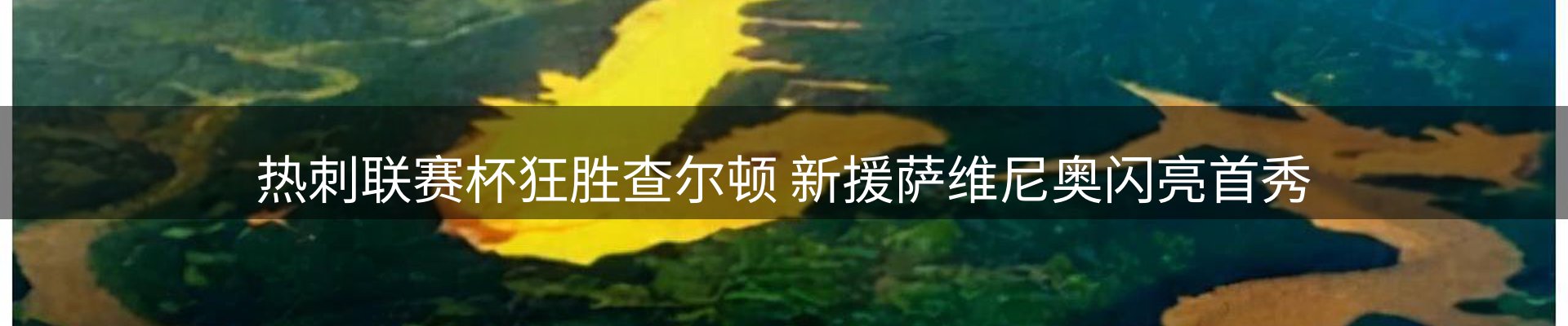 新闻解析